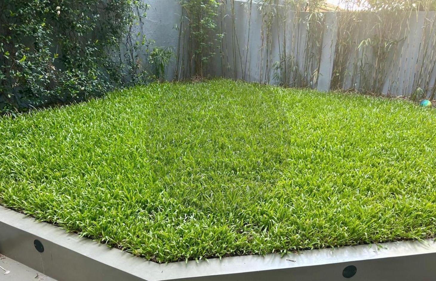 Foto de Departamento 3 ambientes amoblado con parque / jardín en alquiler, imagen 3