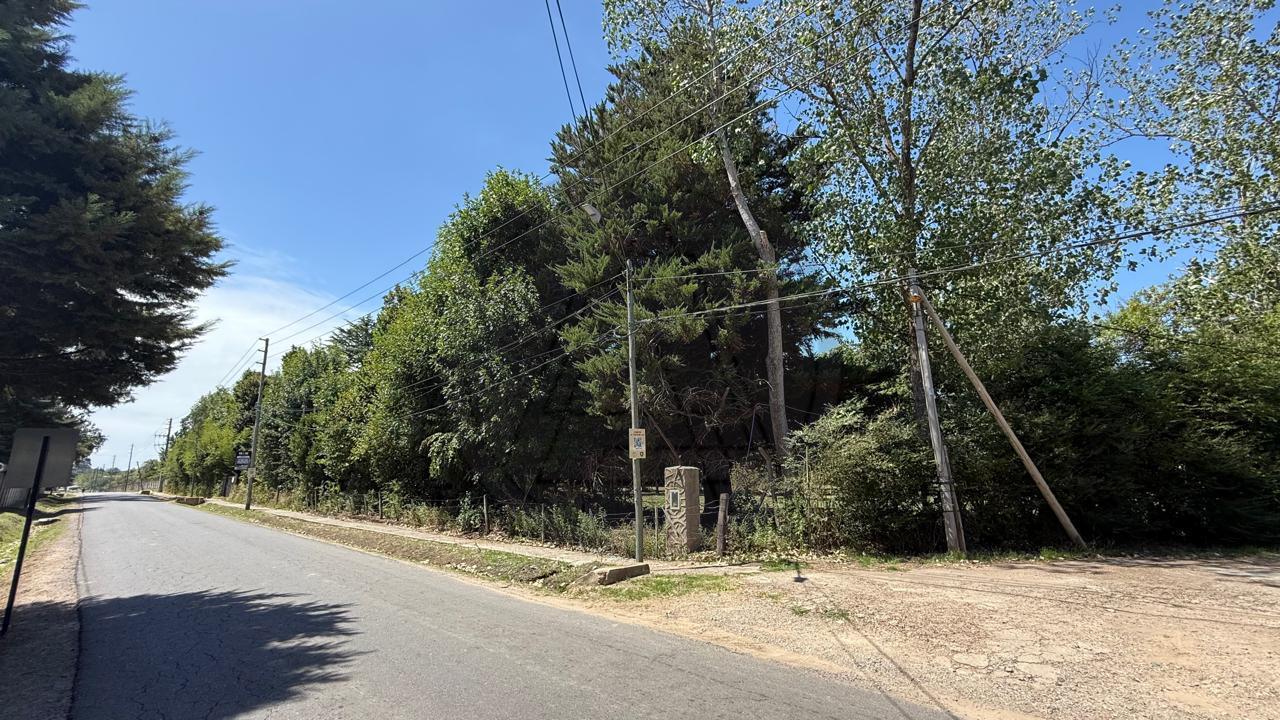 Foto de Terreno en Villa Rosa, imagen 5