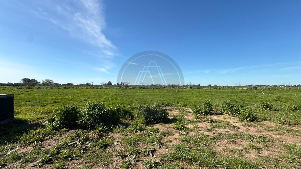 Foto de Lote/Terreno en venta de 700m2 - Financiado - en Saint Thomas Chico, imagen 4