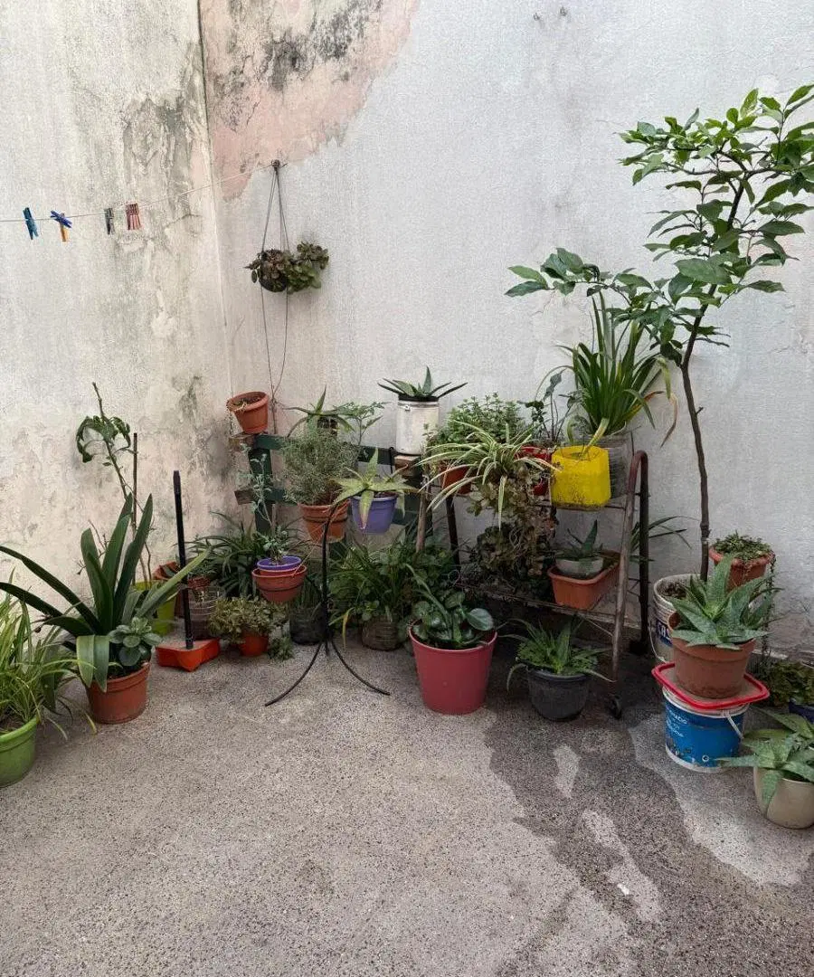 DEPARTAMENTO DE DOS AMBIENTES CON PATIO 4