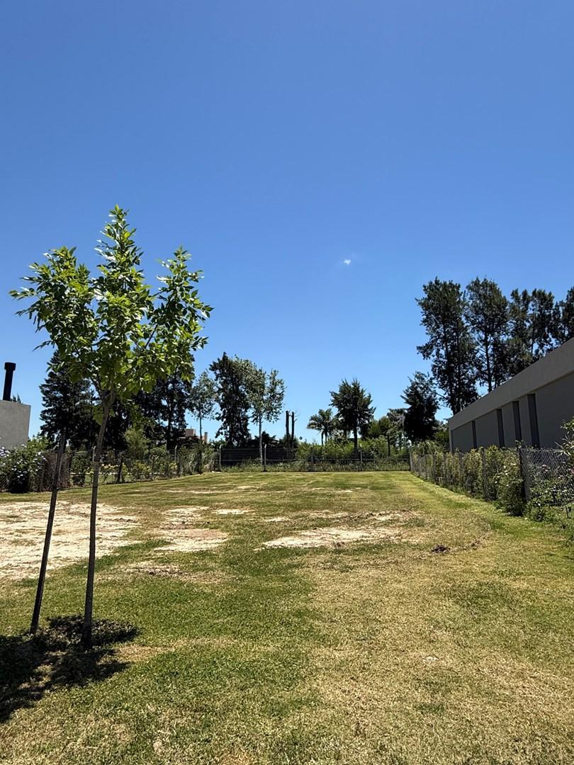 Foto de Terreno Lote en Venta en Santa Ana, Villanueva, Tigre, imagen 2