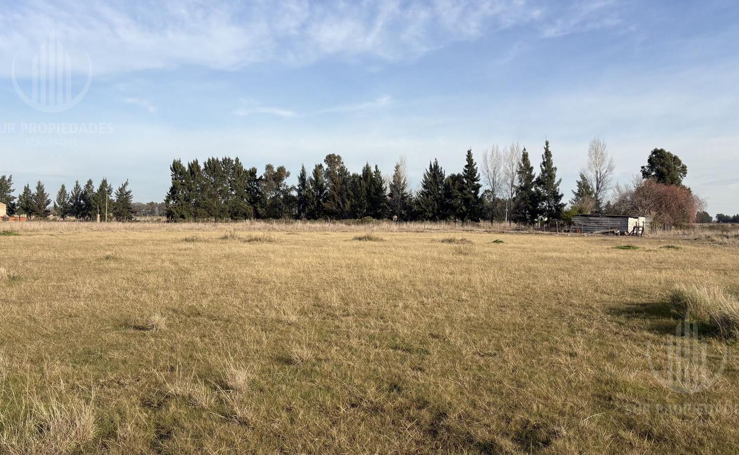 Foto de Terreno en San Vicente, imagen 4