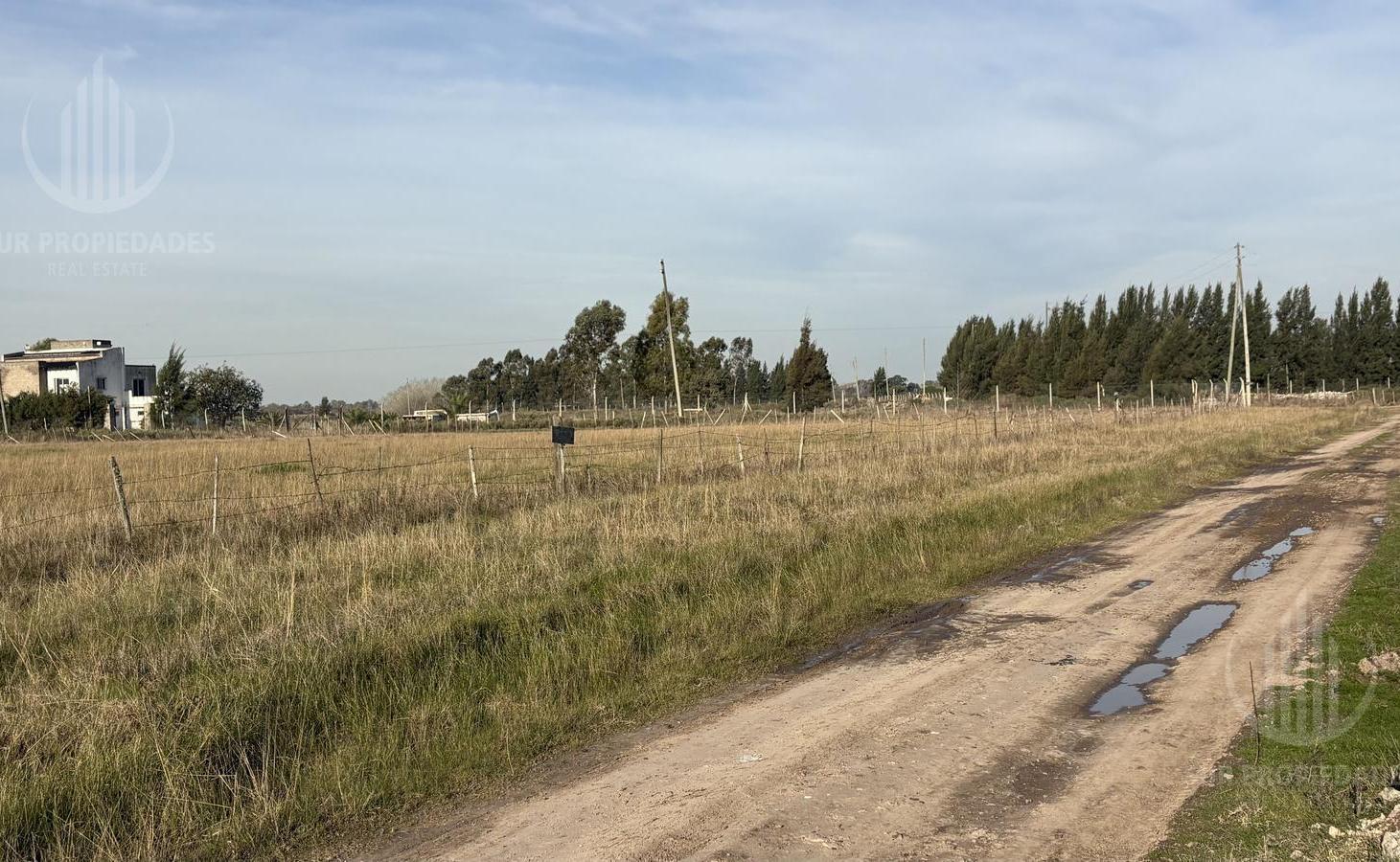 Foto de Terreno en San Vicente, imagen 3