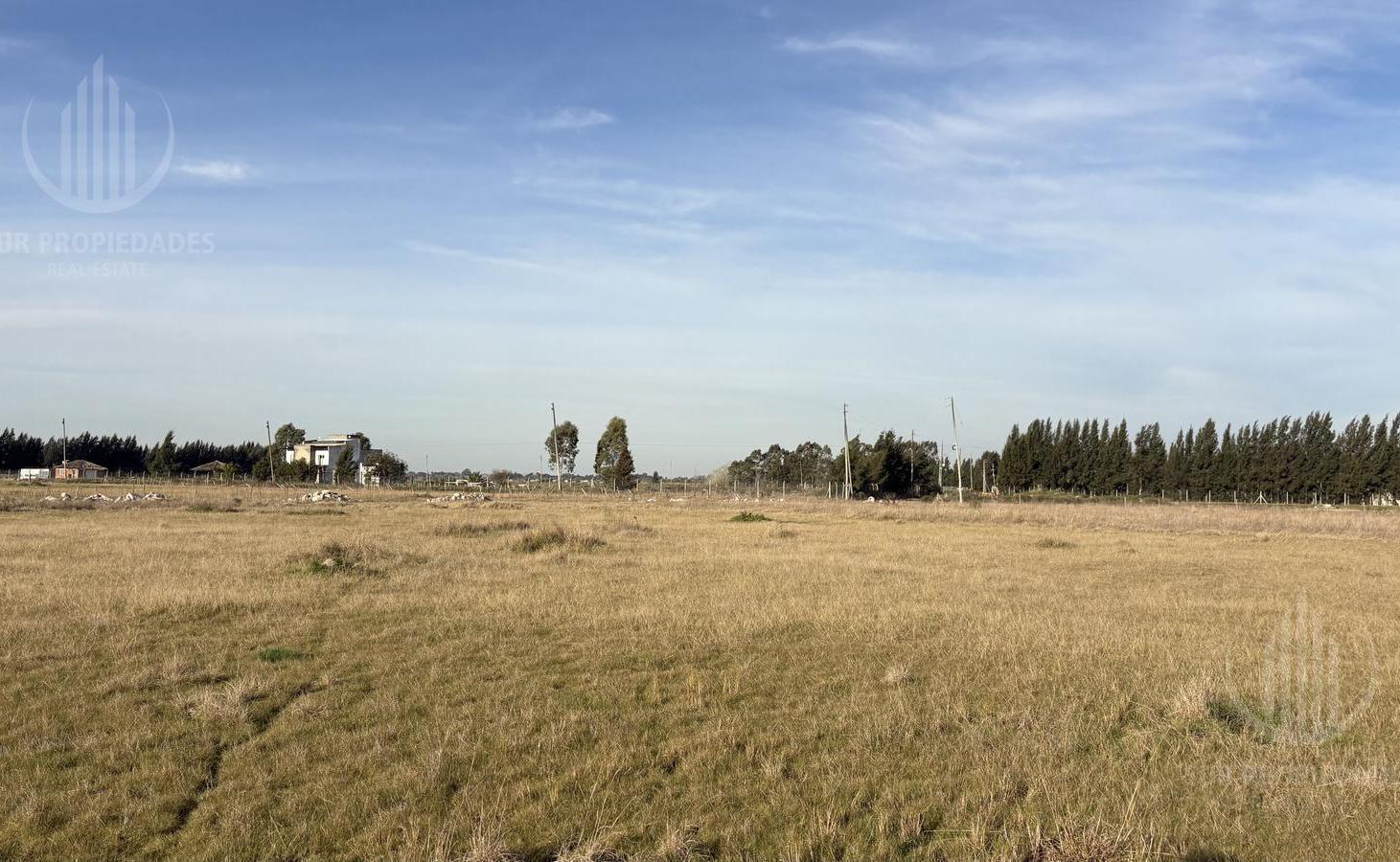 Foto de Terreno en San Vicente, imagen 5