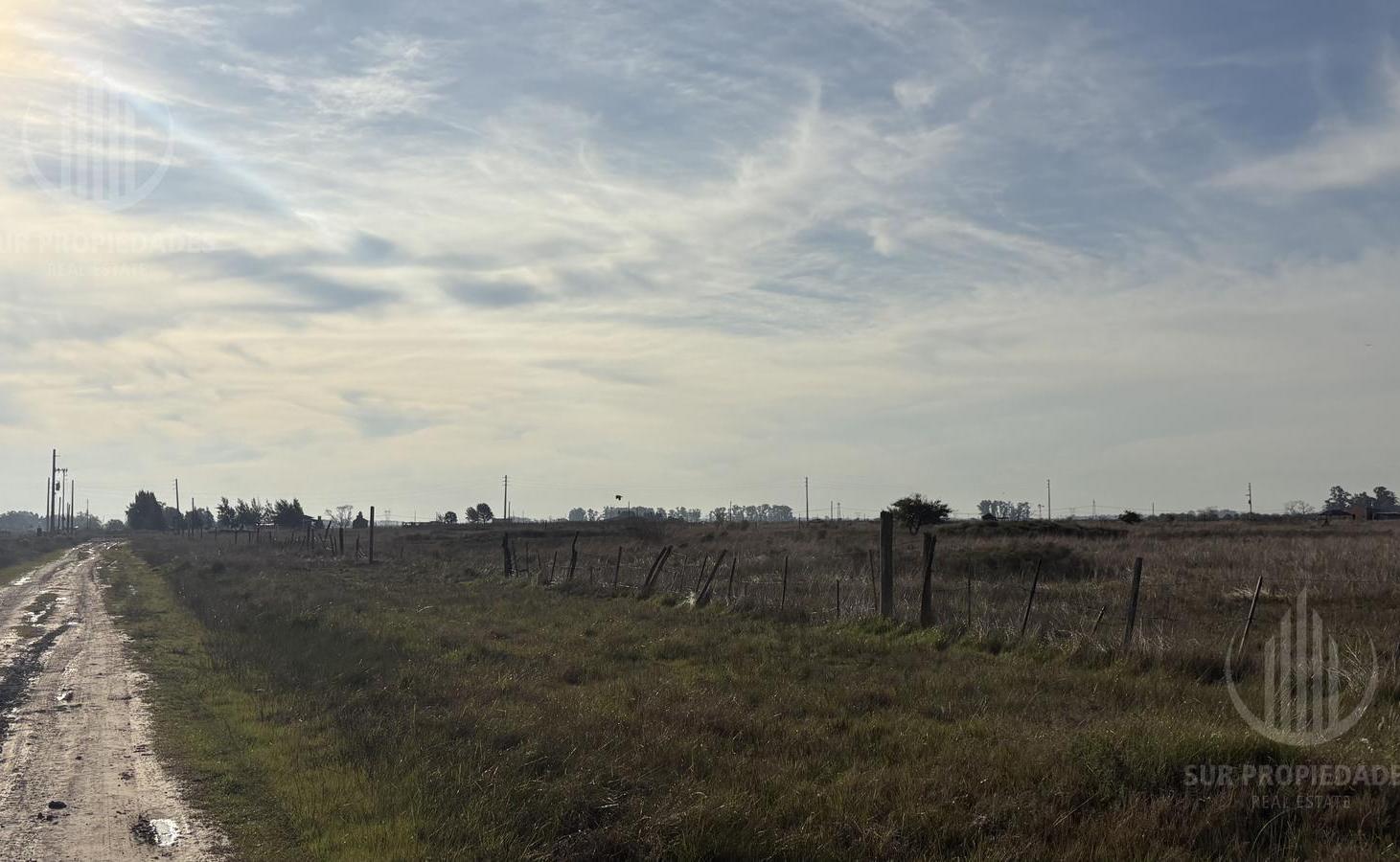 Foto de Terreno en San Vicente, imagen 1