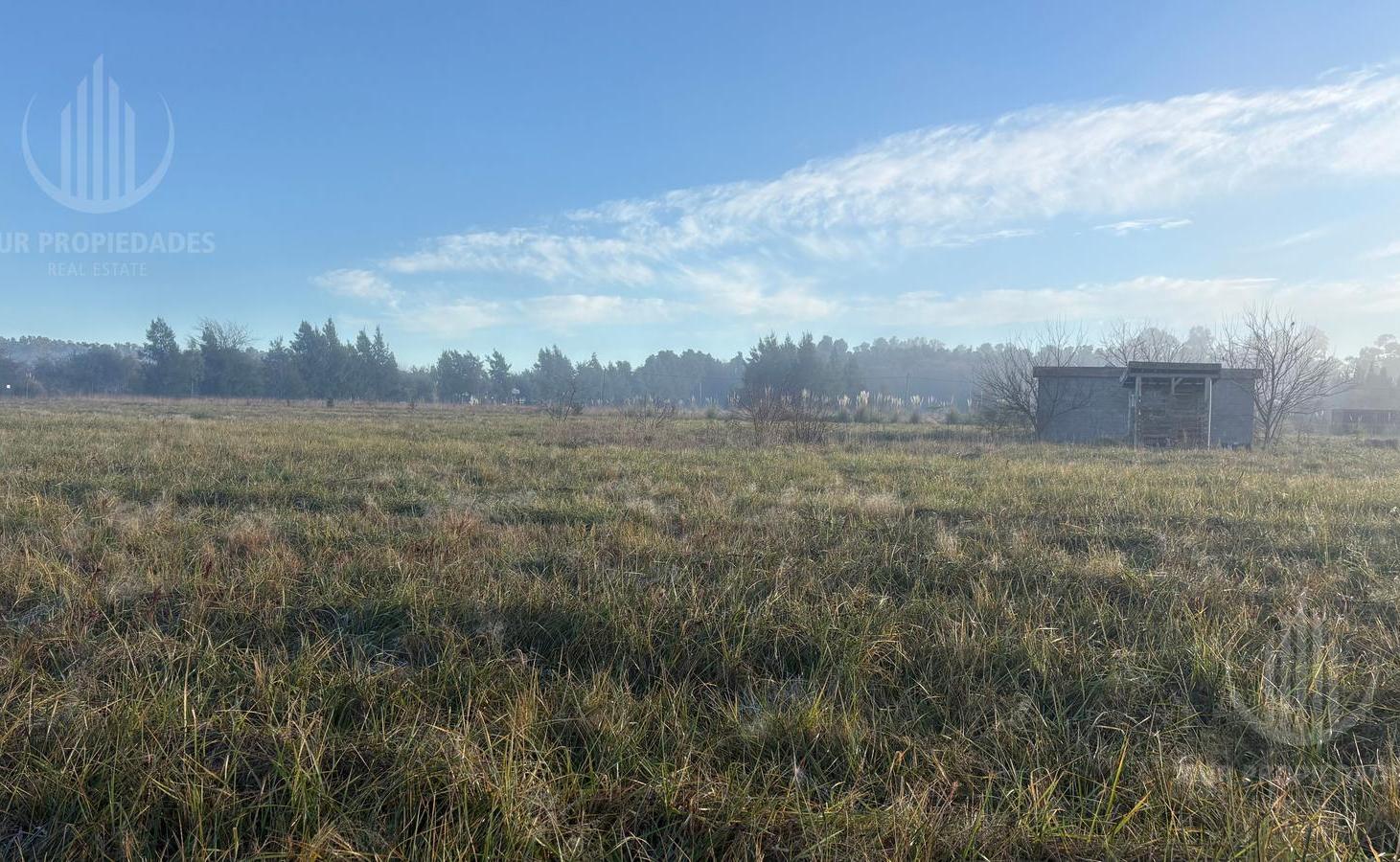 Foto de Terreno en San Miguel Del Monte, imagen 4