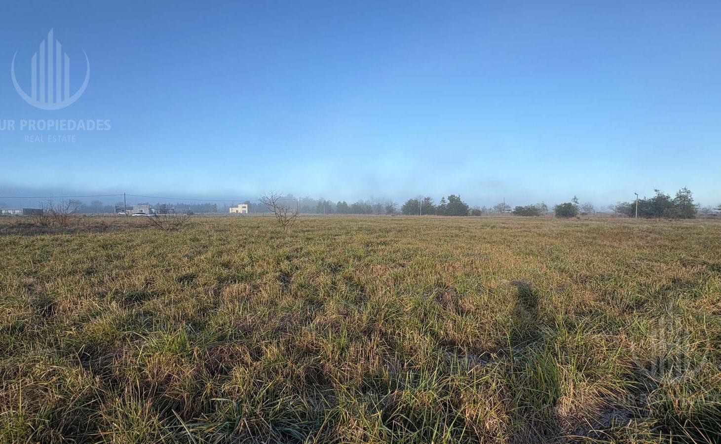 Foto de Terreno en San Miguel Del Monte, imagen 3