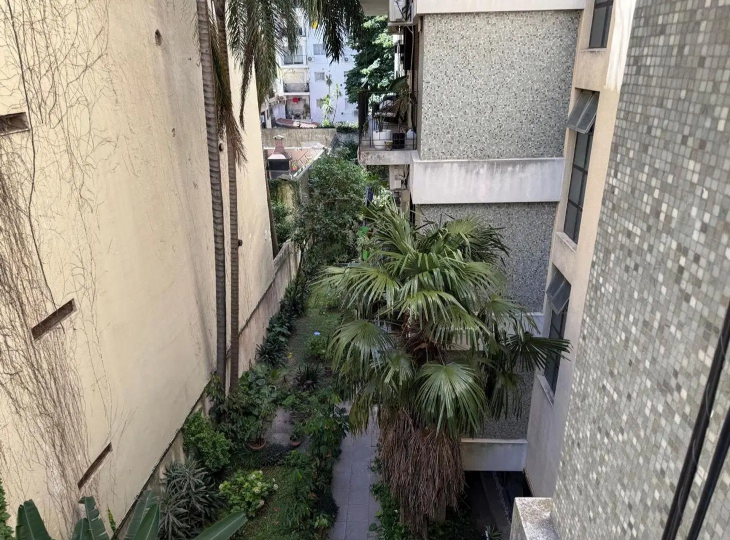 Alquiler Depto 3 amb más dependencia y 2 balcones 3