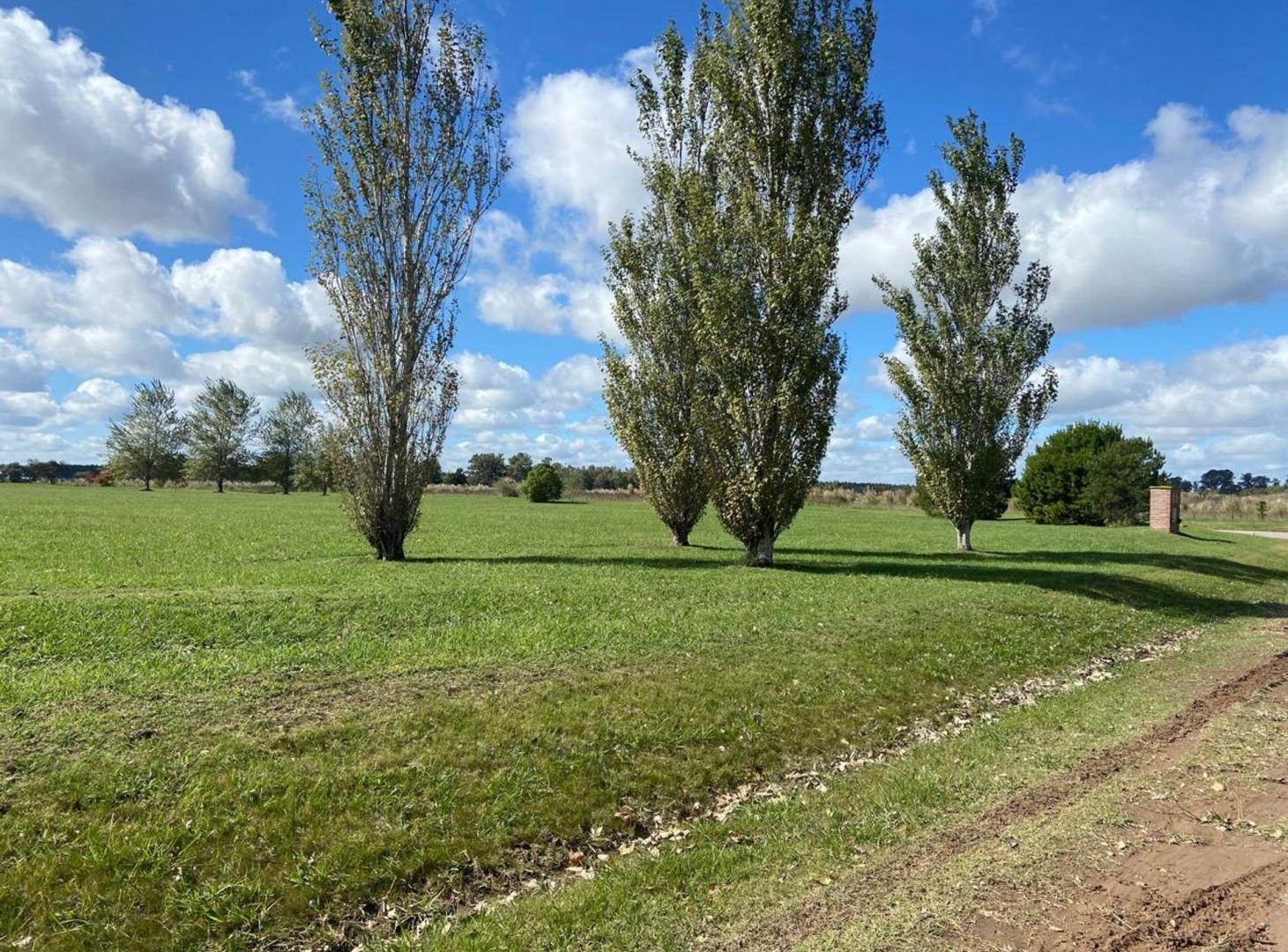 Foto de Lote en Venta, La Primavera Golf Club 3562m2, imagen 4