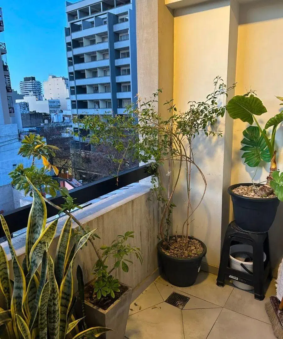 PROPIEDAD CON RENTA OPORTUNIDAD - IMPECABLE 5
