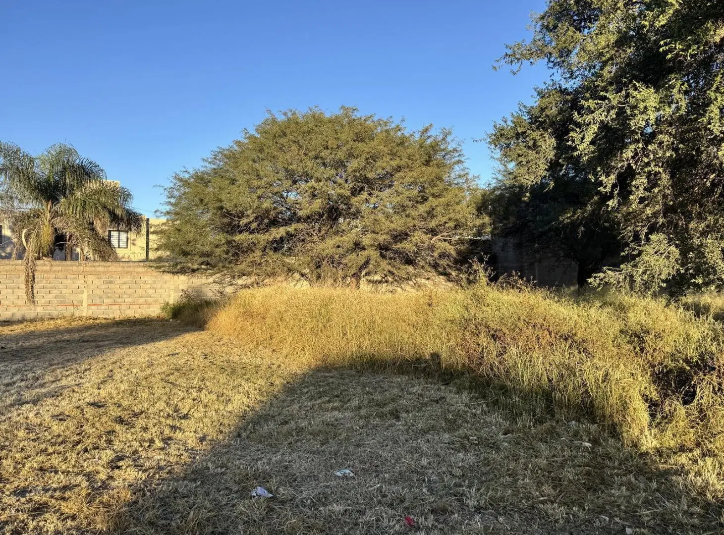 VENTA DE TERRENO EN ARGUELLO NORTE 2