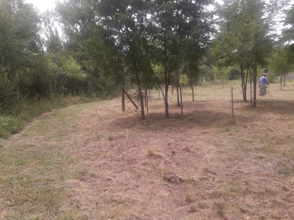 Foto de VENDO LOTE EN MOLINARI COSQUÍN, imagen 5
