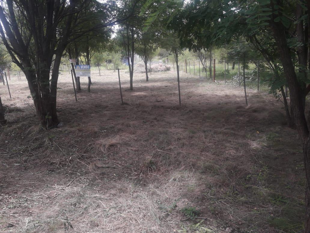 Foto de VENDO LOTE EN MOLINARI COSQUÍN, imagen 3