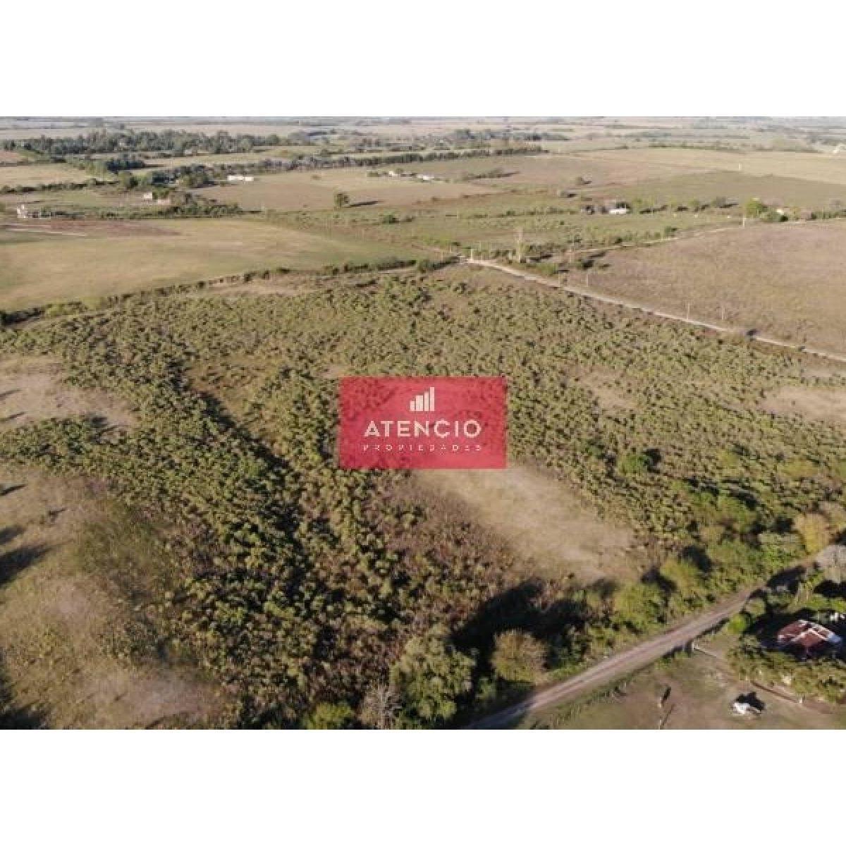 Foto de Lote De 9.500 M2 Con Vista Al Rio, Zona Termas De Victoria, imagen 4
