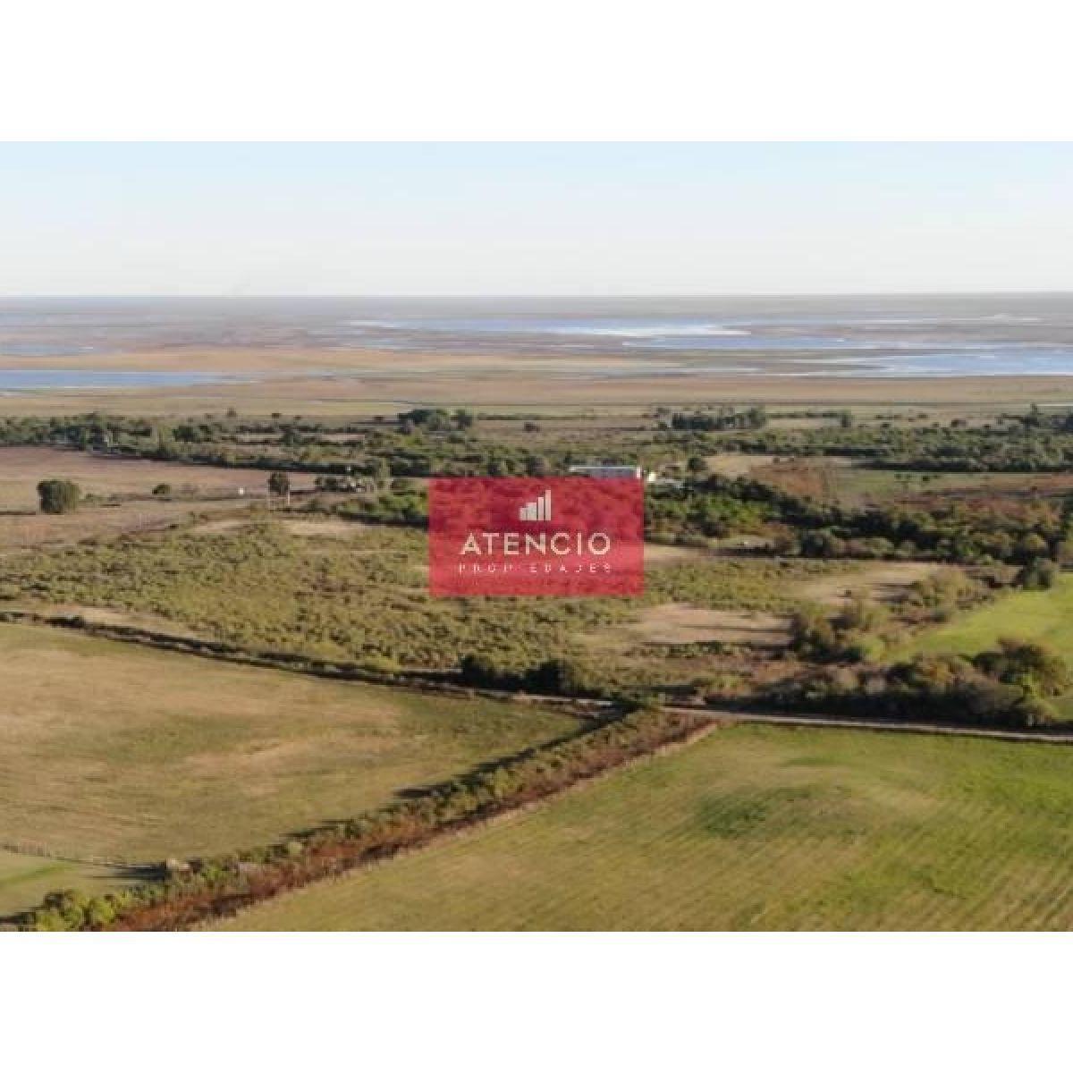 Foto de Lote De 9.500 M2 Con Vista Al Rio, Zona Termas De Victoria, imagen 5