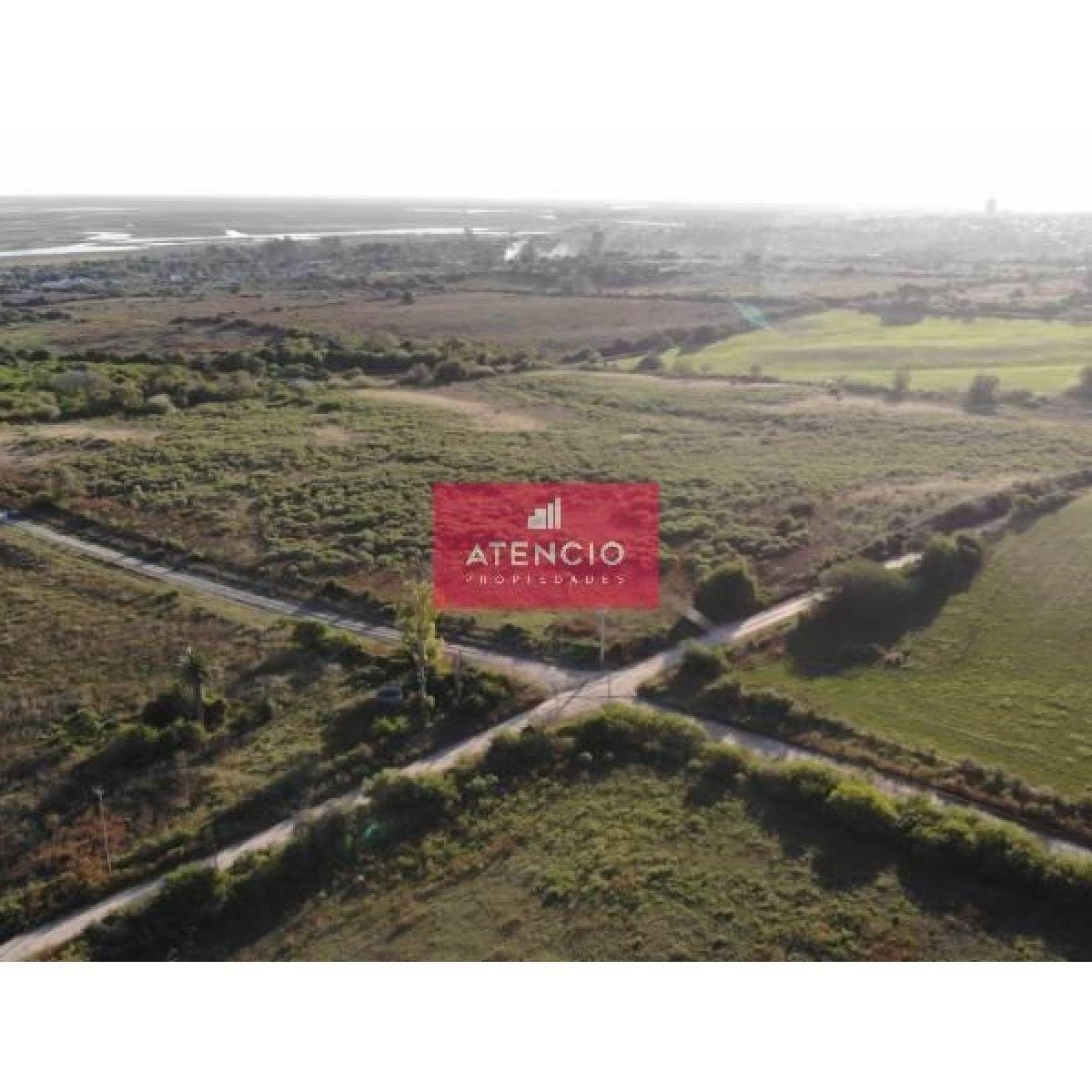 Foto de Lote De 9.500 M2 Con Vista Al Rio, Zona Termas De Victoria, imagen 1