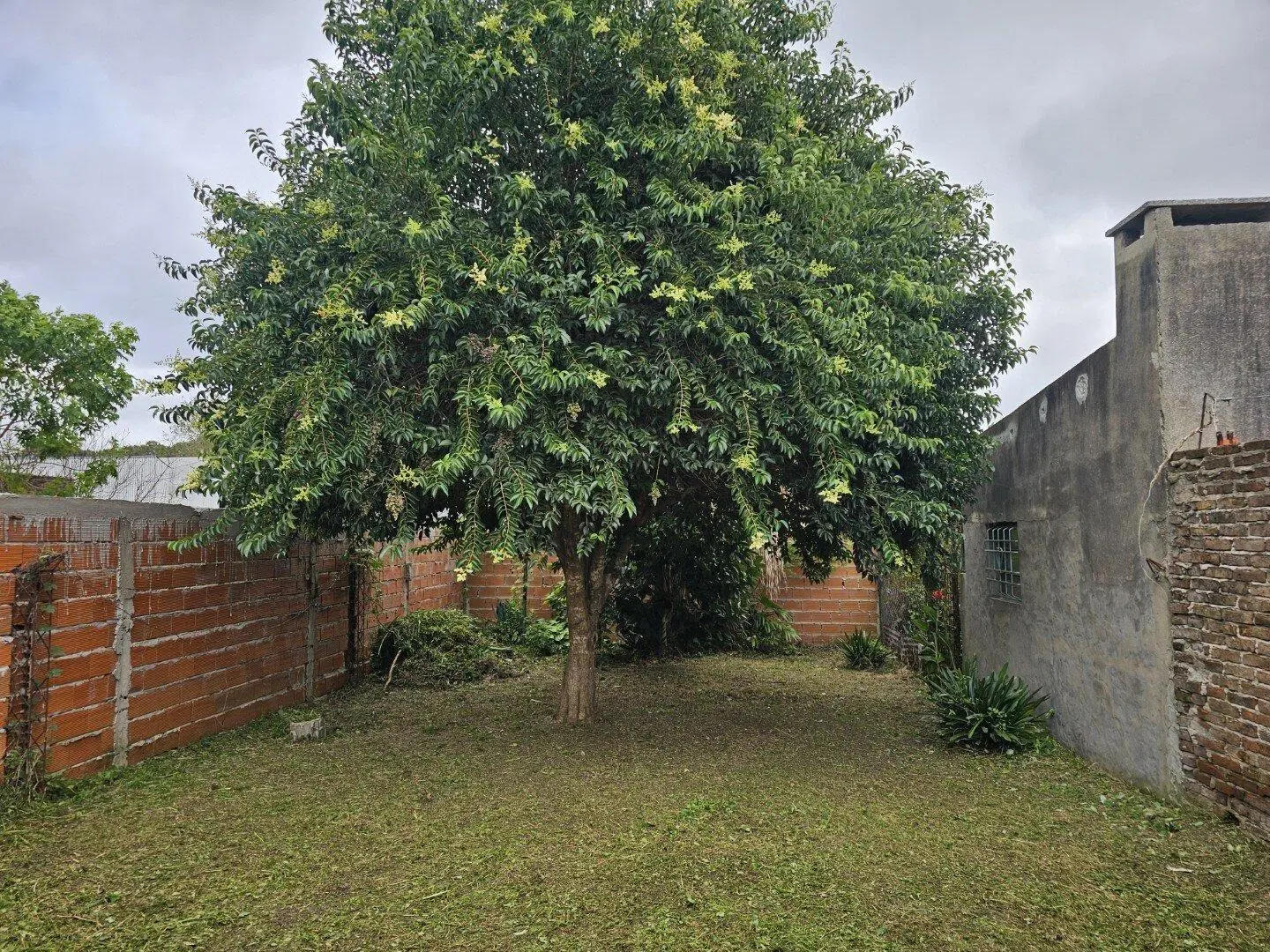 VENTA | Casa a refaccionar con jardín y espacio para vehículos - Junín 340 2
