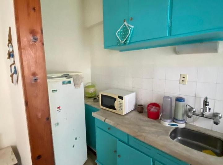 Foto de DEPARTAMENTO EN PENINSULA, imagen 1