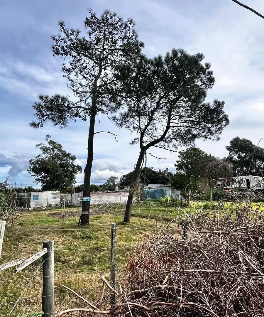 Terreno 300 M² En Balneario Buenos Aires A Media Cuadra De Calle 49 5