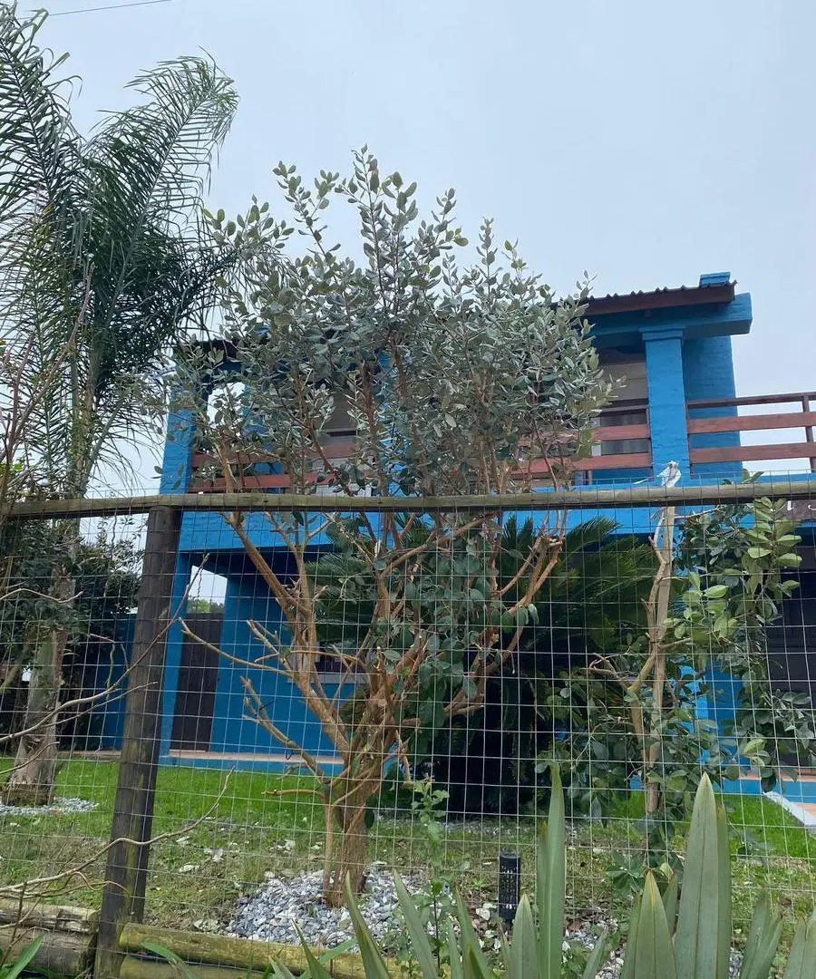 Casa en Bikini 4