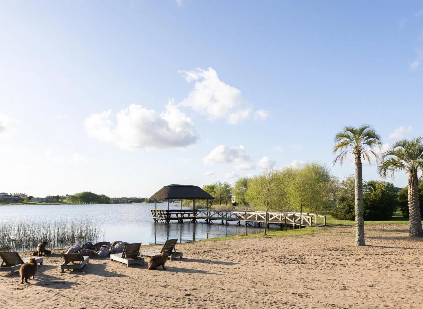 Pueblo Mío | Lote de 4.000 m² en Entorno Natural 8