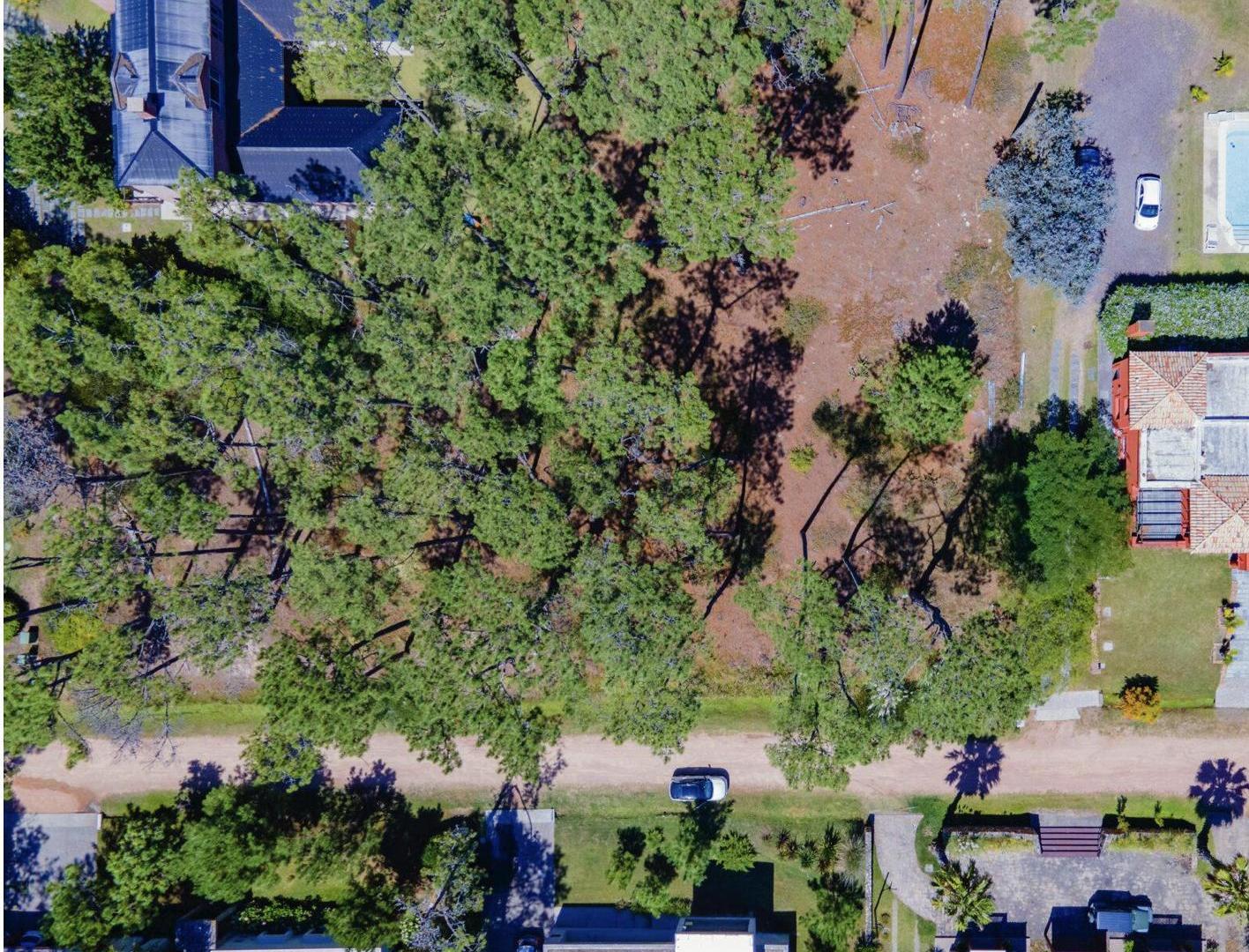 Foto de Terreno en Venta en Barrio Privado Laguna Blanca – 2.593 m² en Altura, imagen 5