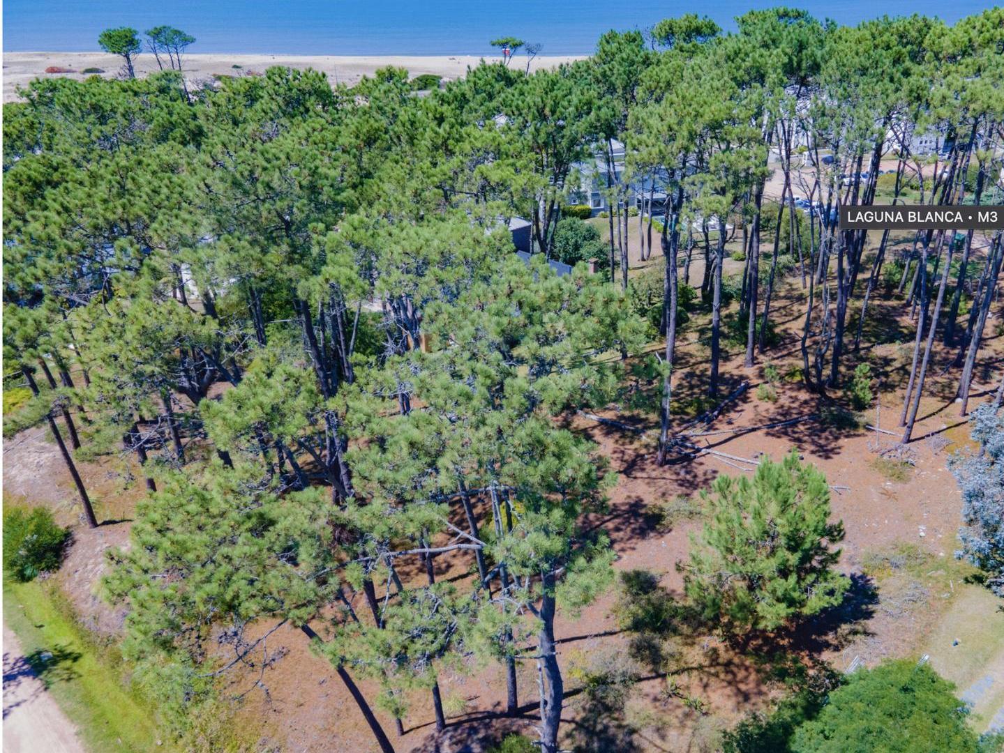 Foto de Terreno en Venta en Barrio Privado Laguna Blanca – 2.593 m² en Altura, imagen 3
