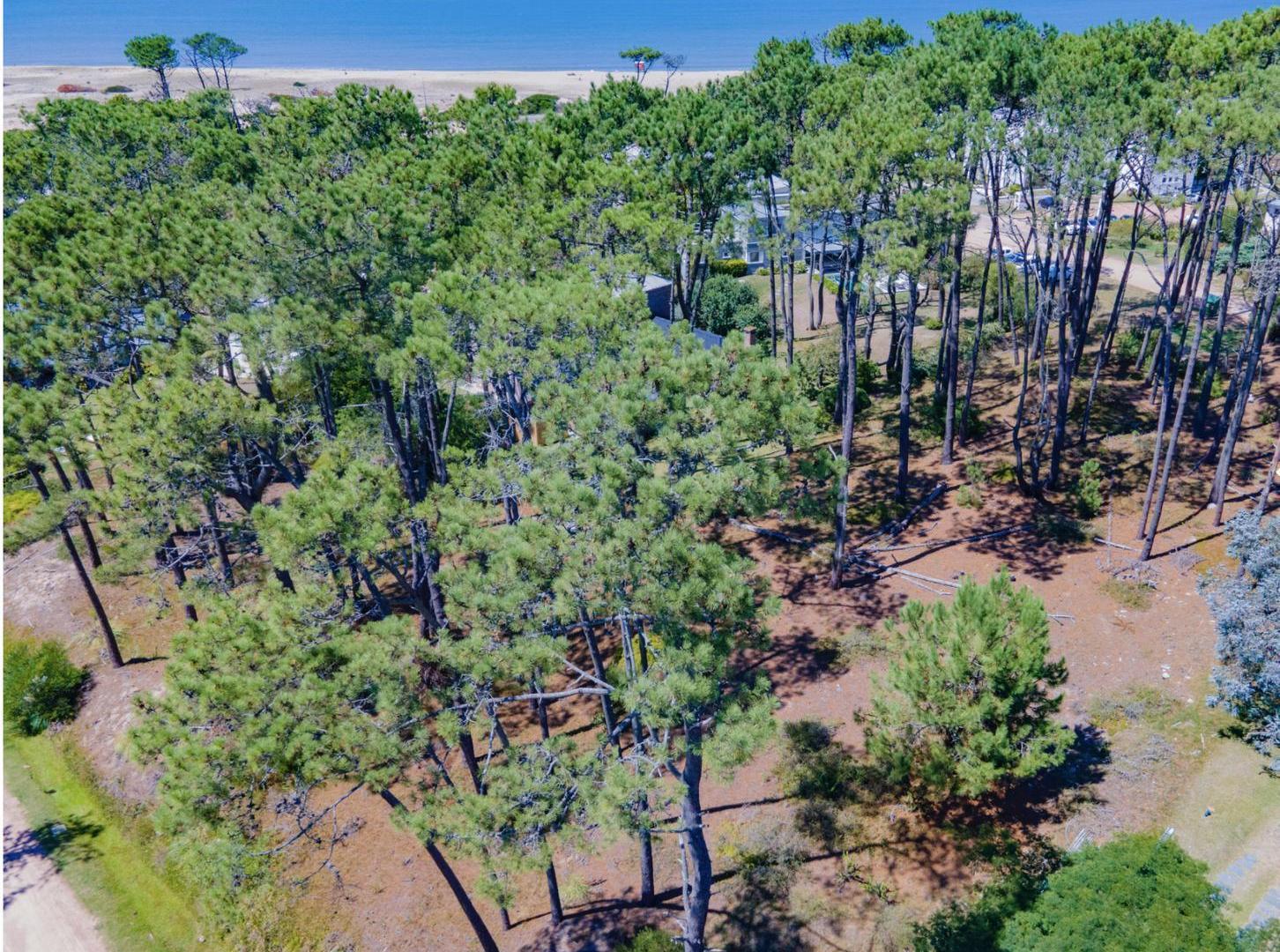 Foto de Terreno en Venta en Barrio Privado Laguna Blanca – 2.593 m² en Altura, imagen 2