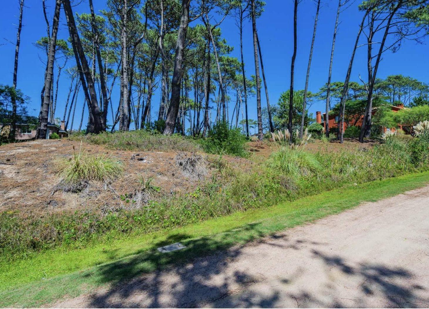 Foto de Terreno en Venta en Barrio Privado Laguna Blanca – 2.593 m² en Altura, imagen 1