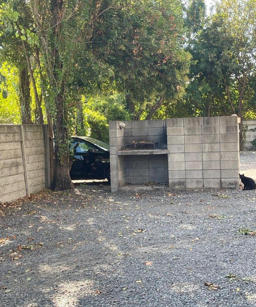 Foto de LAS PIEDRAS 431 ALQUILER DOS AMBIENTES, imagen 4
