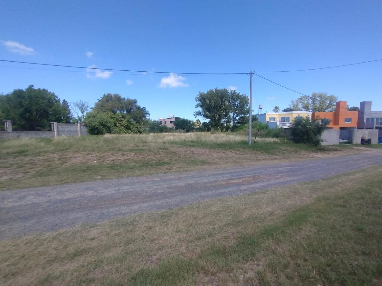 Foto de Terreno en Pueblo Esther (dos terrenos iguales contiguos) Juntos o, imagen 2