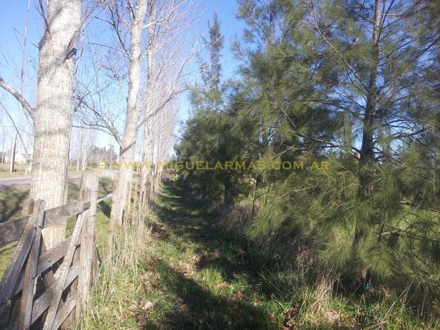 Foto de Chacras de Abbott - Lote interno con mejoras y excelente ubicación, imagen 2