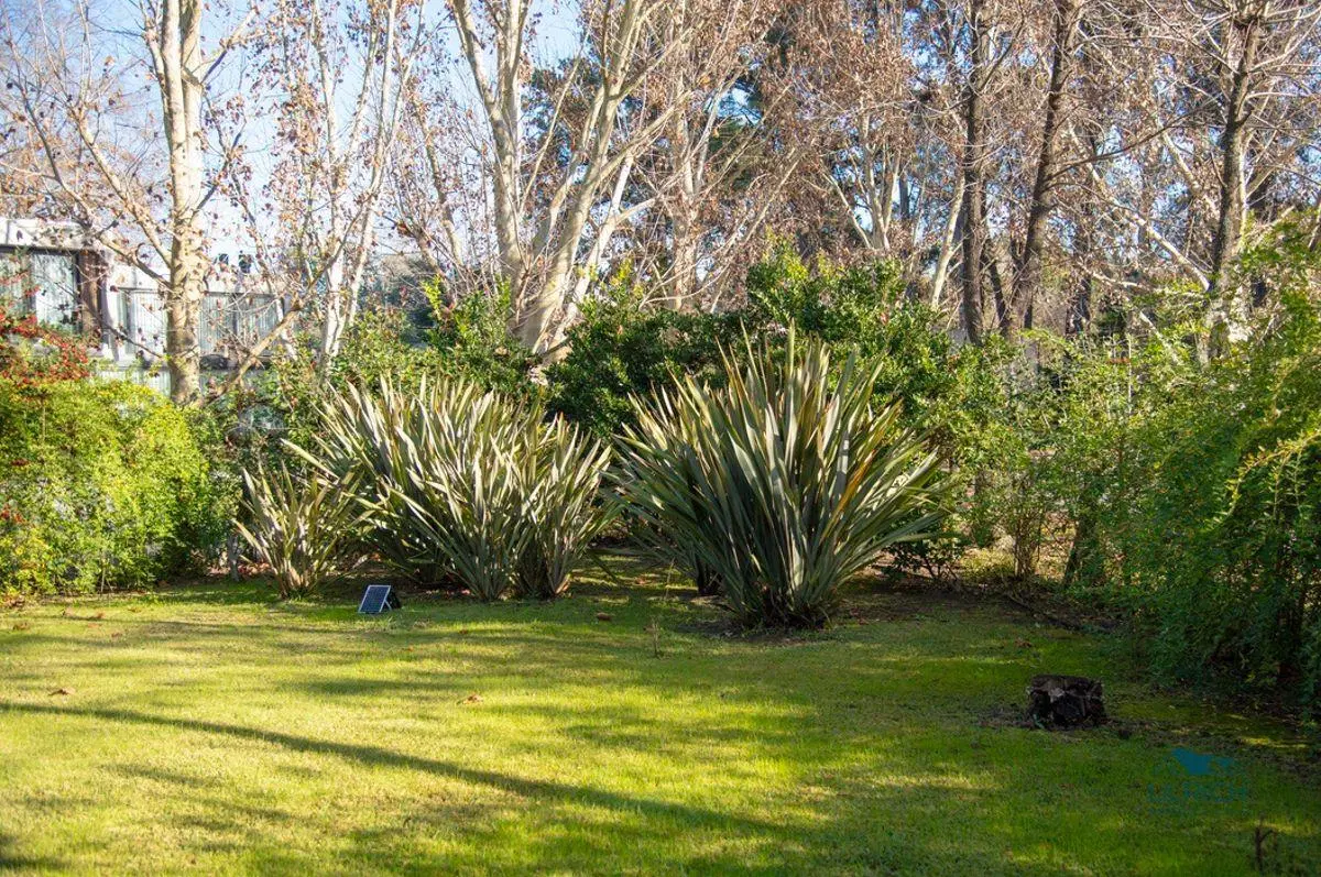 Carmel Alquiler y Venta 4 dorm ULRICH PROPIEDADES 4