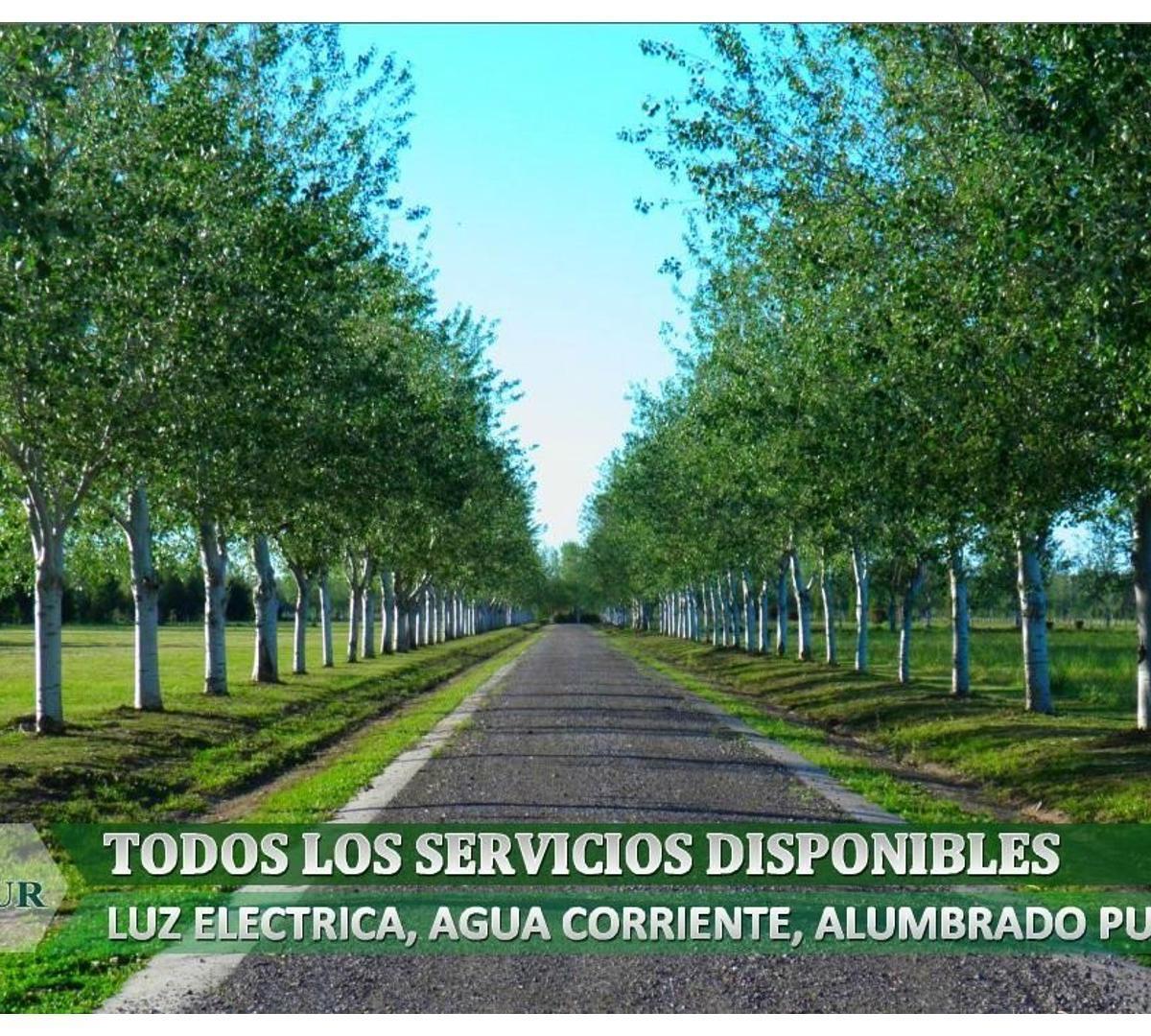Foto de VENTA LOTE EN BV. PRINCIPAL! BARRIO PRIVADO. PERMUTA!, imagen 3