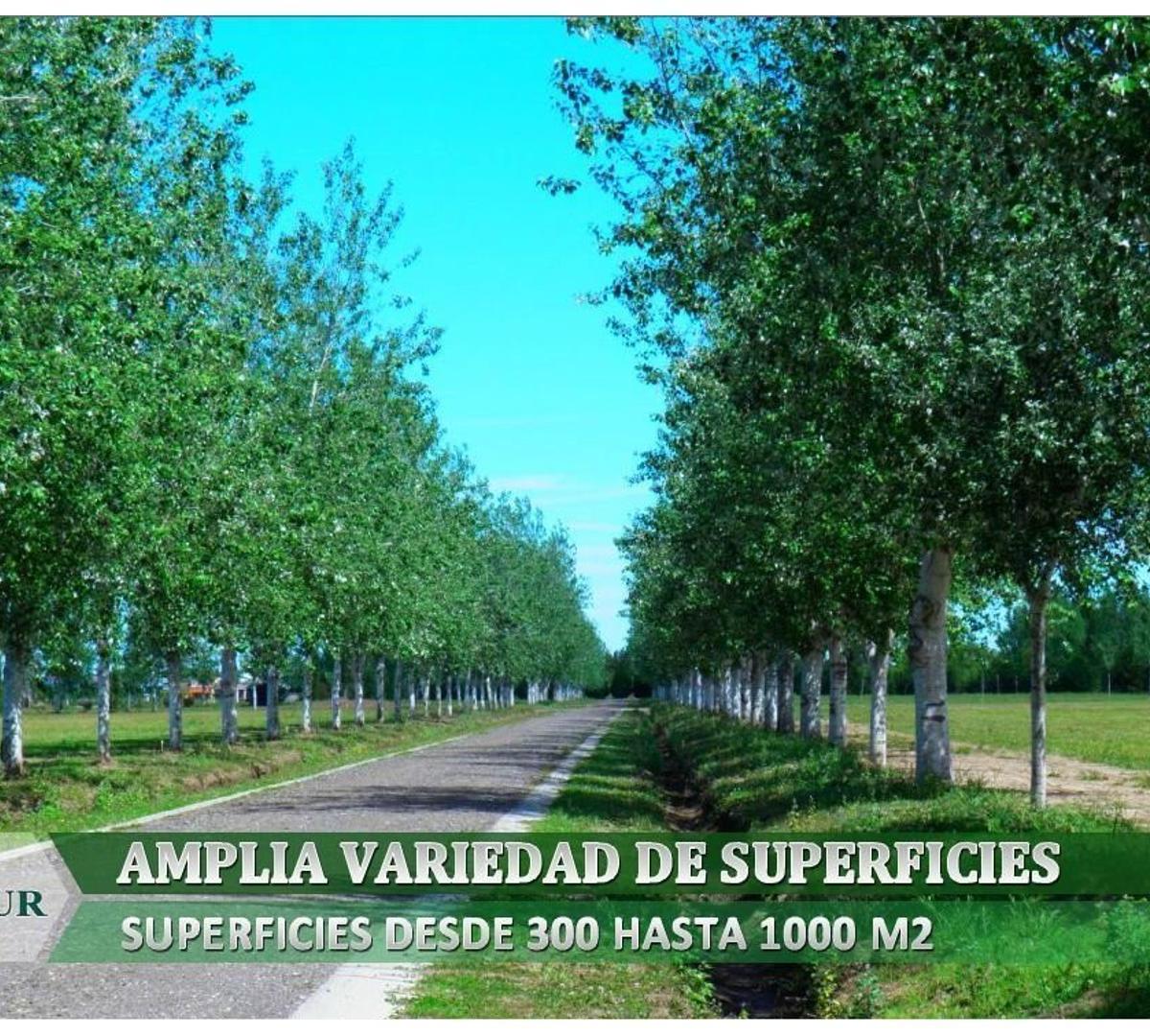 Foto de VENTA LOTE EN BV. PRINCIPAL! BARRIO PRIVADO. PERMUTA!, imagen 4