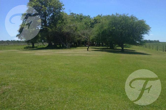Corrientes I Campo 4168 Ha 4