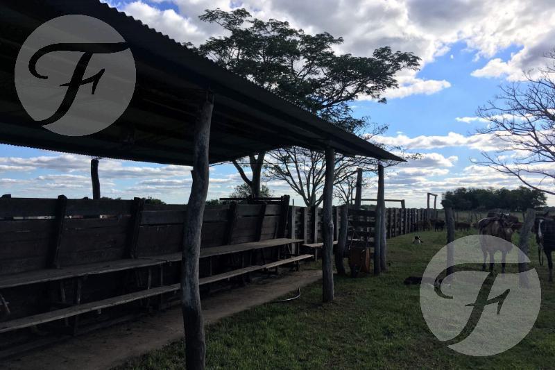 Corrientes I Campo 4168 Ha 3
