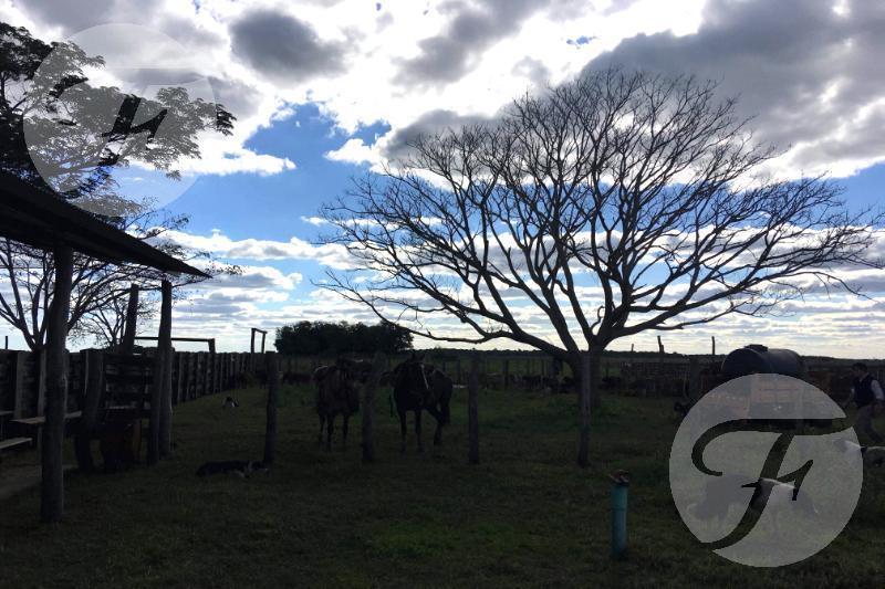 Corrientes I Campo 4168 Ha 5