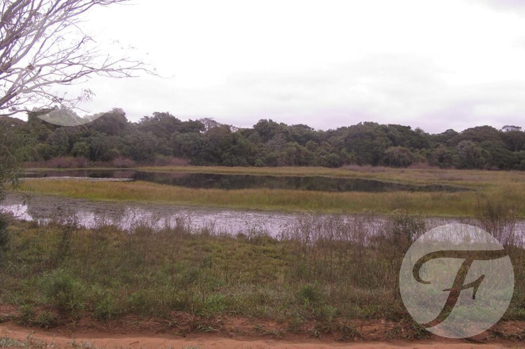 Campo Mixto en Venta - 2.270 Ha en Corrientes con Gran Potencial Productivo 5