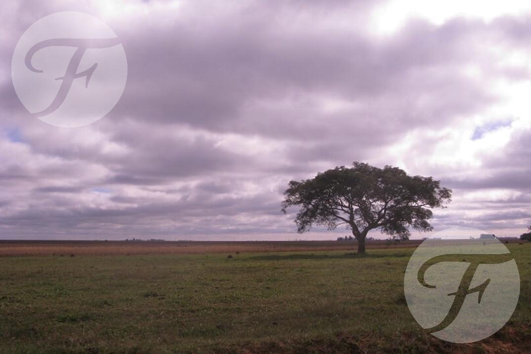 Campo Mixto en Venta - 2.270 Ha en Corrientes con Gran Potencial Productivo 4