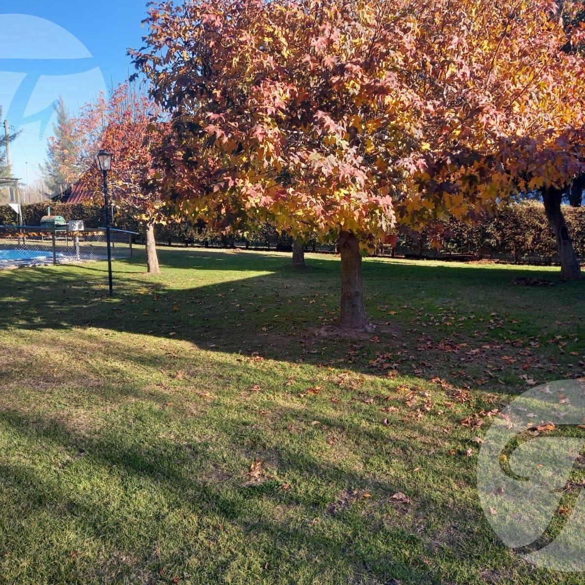 Foto de Venta de hermosas Cabañas en Vuelta de Obligado (San Pedro), imagen 2