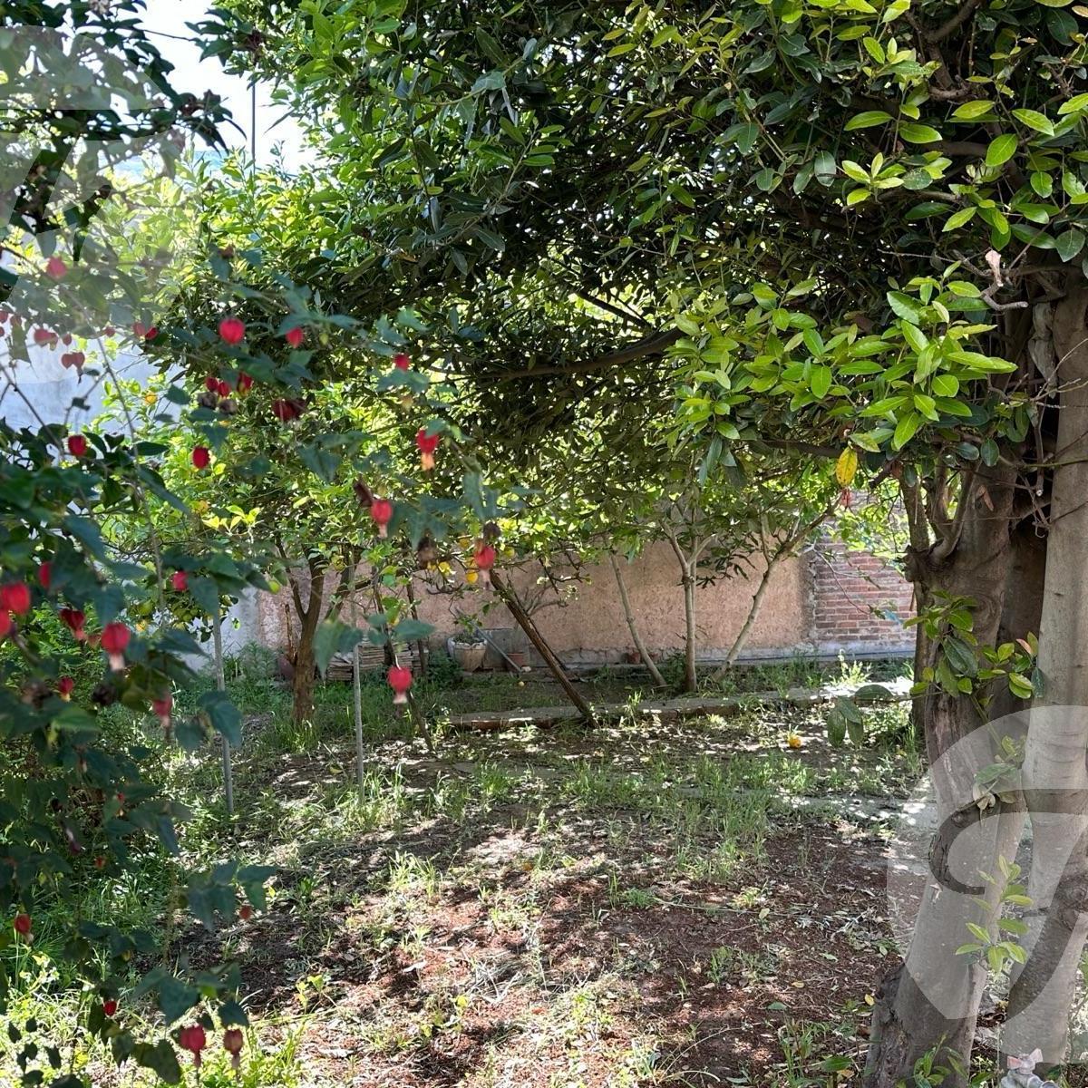 Oportunidad de Compra en Chivilcoy (Ba) | Casa en Venta | Zona Céntrica de Chivilcoy 3