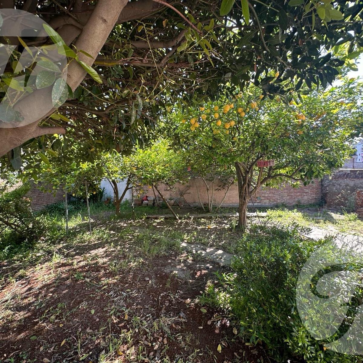 Oportunidad de Compra en Chivilcoy (Ba) | Casa en Venta | Zona Céntrica de Chivilcoy 5