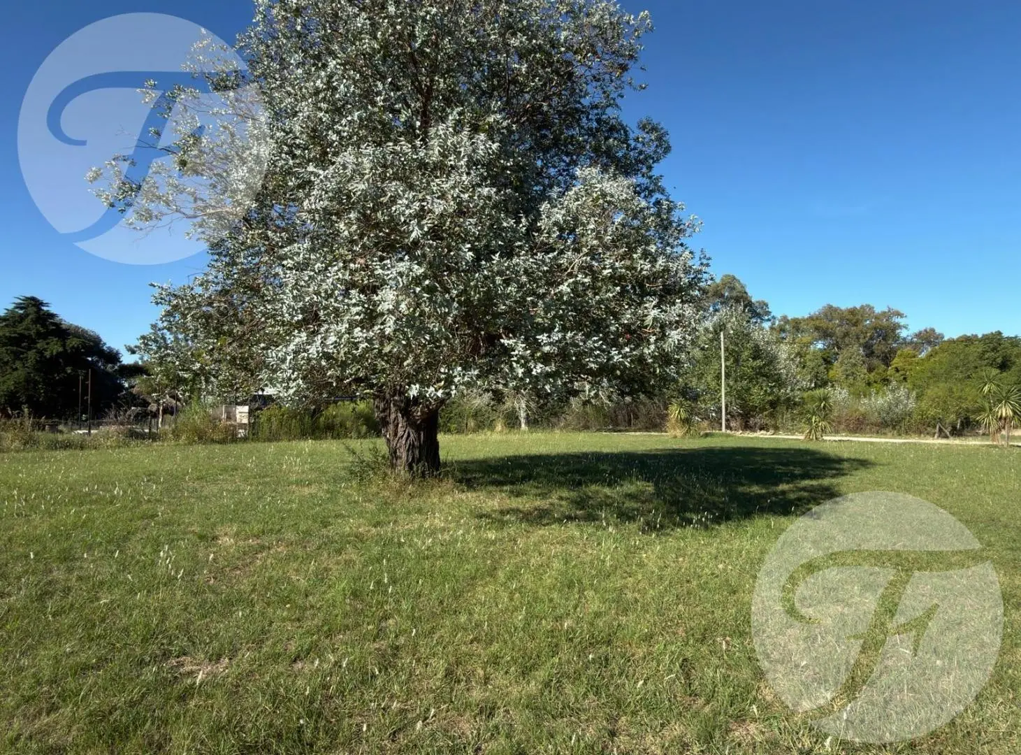 Venta de terreno con salida al Río en San Pedro 3