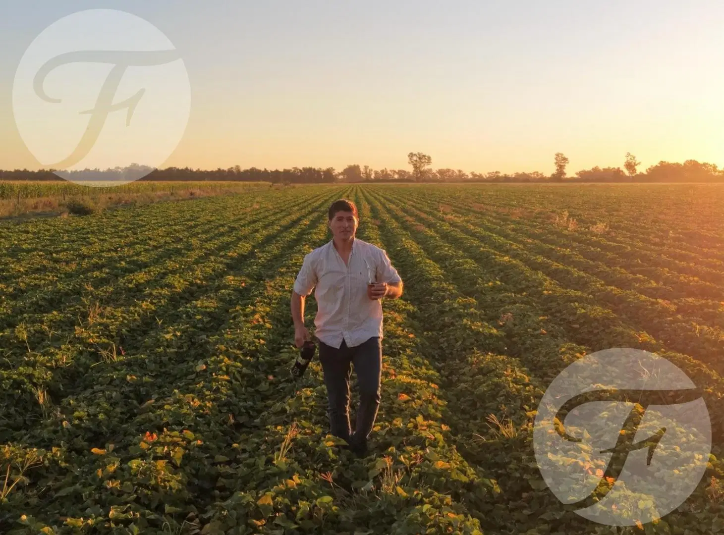 Vendo Campo en San Pedro sobre ruta 1001 - 55 hectáreas agrícolas - Oportunidad de Inversión 4