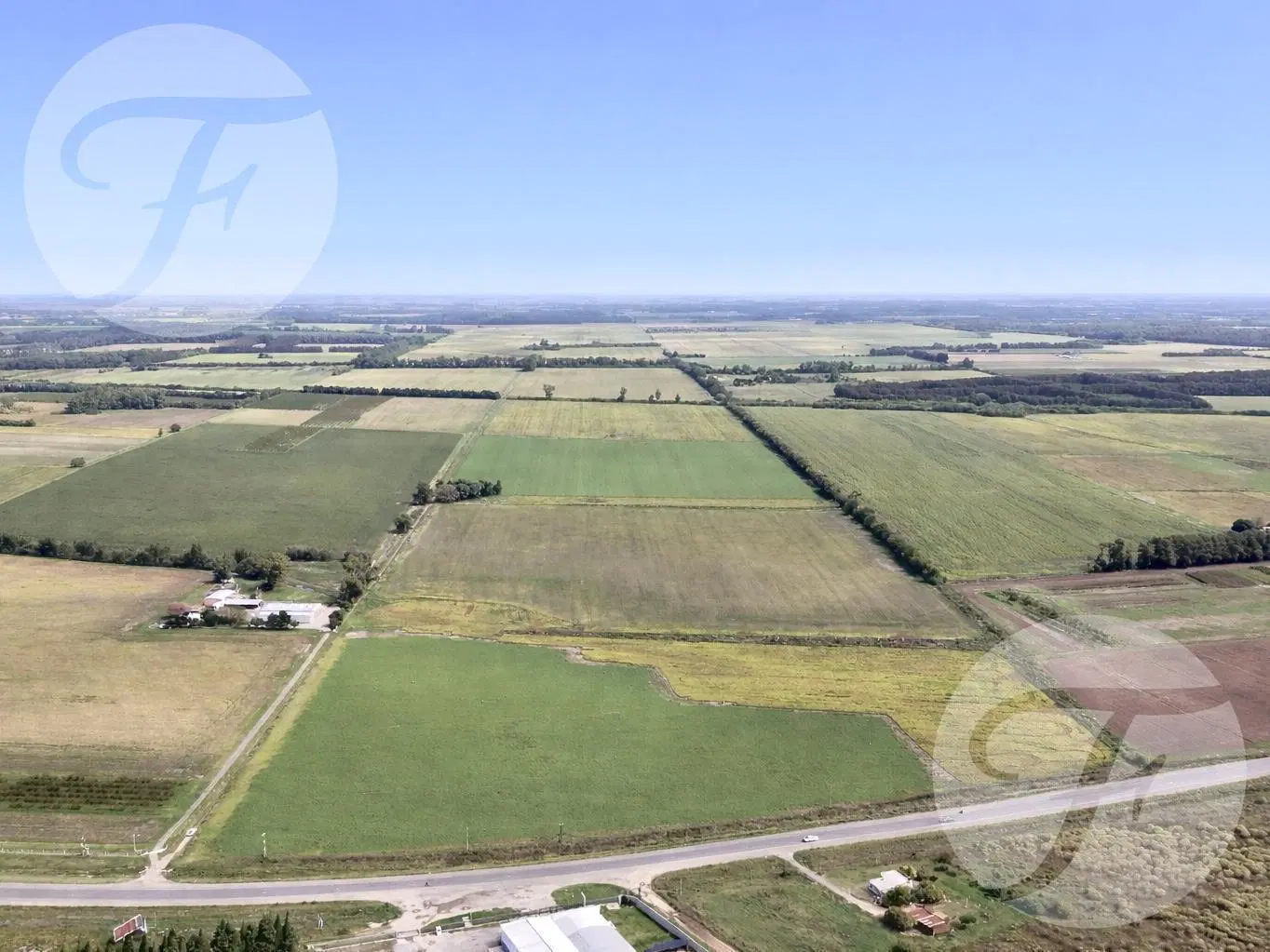 Vendo Campo en San Pedro sobre ruta 1001 - 55 hectáreas agrícolas - Oportunidad de Inversión 3