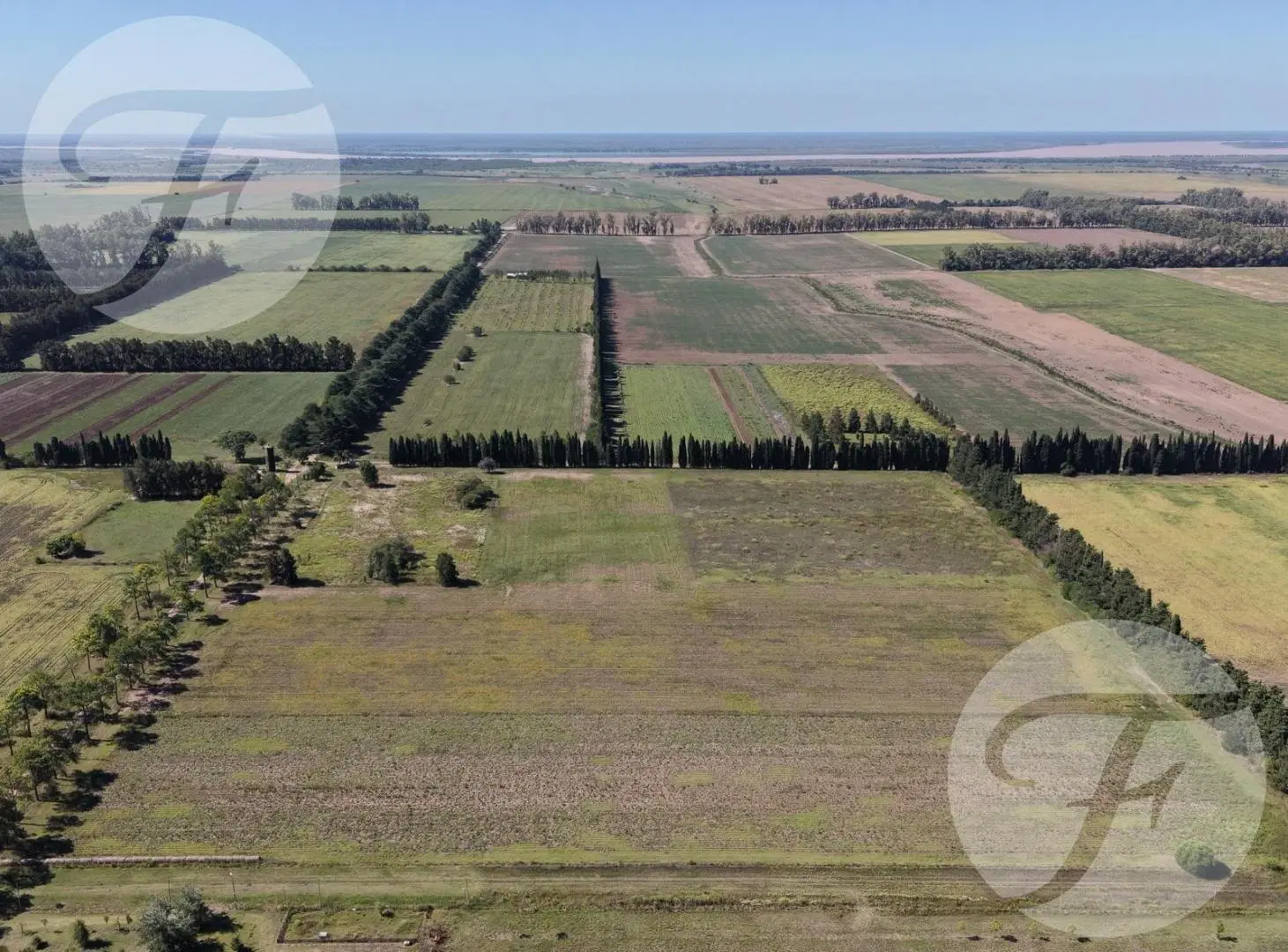 Venta de Campo de 5 hectáreas productivas - Gobernador Castro, San Pedro 4