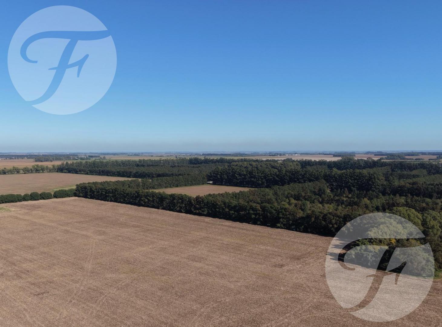 Venta de fracción en Baradero sobre Ruta 9 - 25 ha agrícolas con mejoras - 350m lineales sobre Ruta