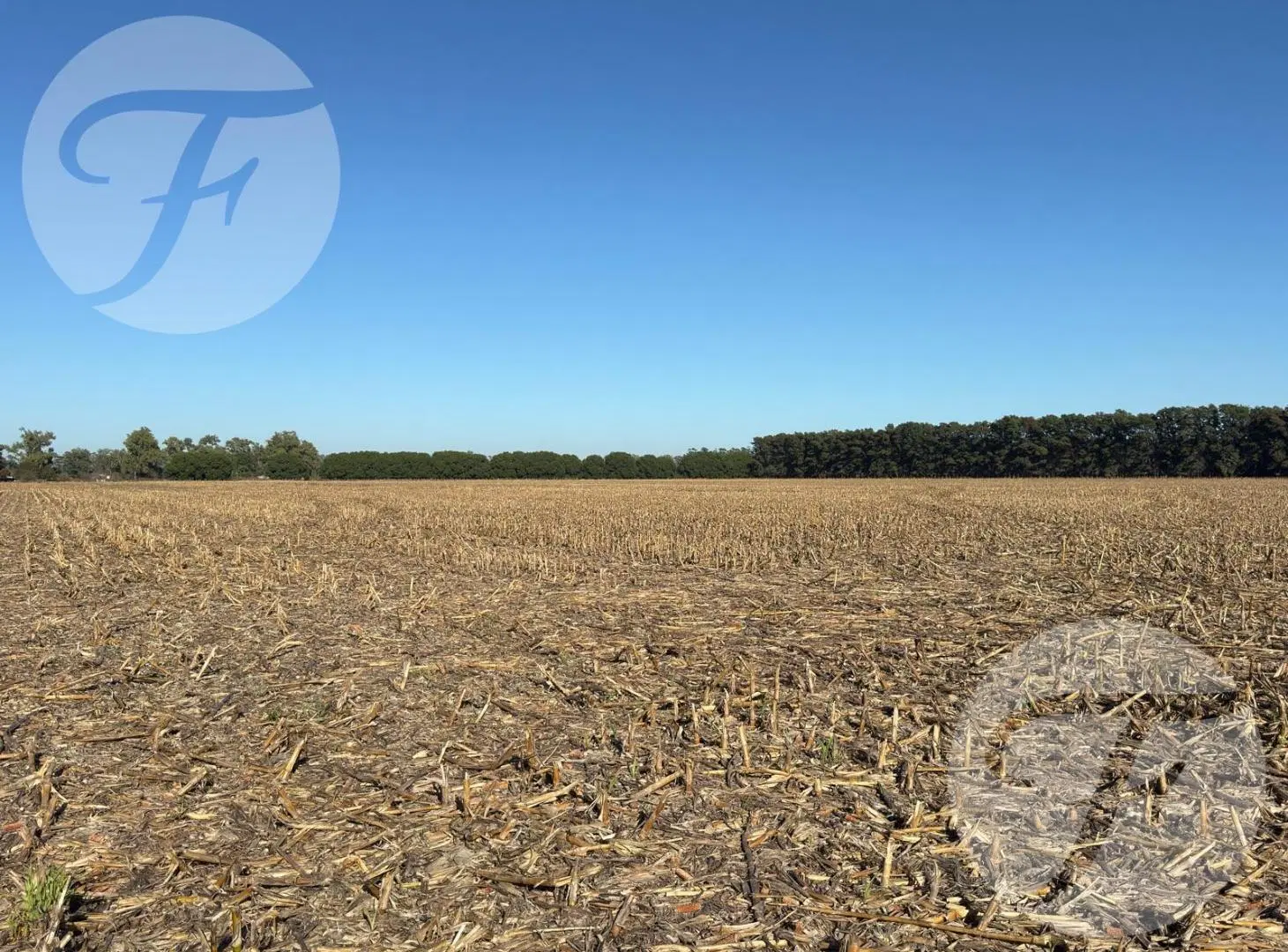Venta de fracción en Baradero sobre Ruta 9 - 25 ha agrícolas con mejoras - 350m lineales sobre Ruta 4