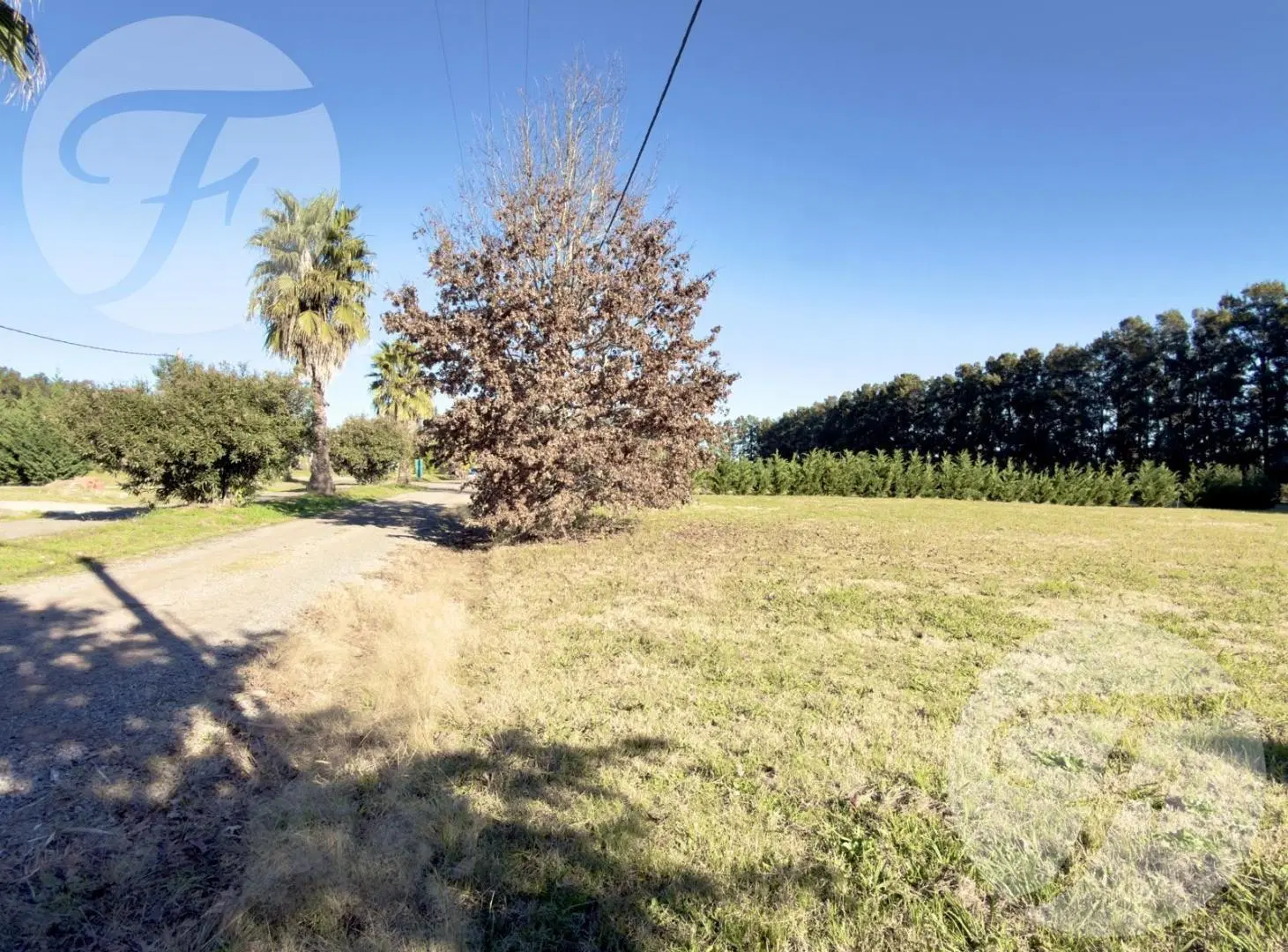 Lote de 1.225 m² en Venta - Barrio Driving Golf – San Pedro, Buenos Aires - Naturaleza y Confort 5
